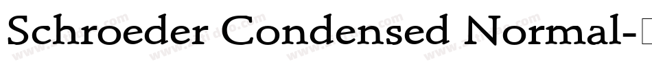 Schroeder Condensed Normal字体转换